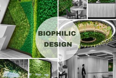 Biophilic Office Designs